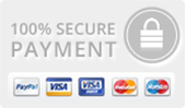 100% Secure payment